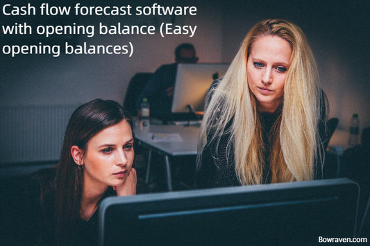 Cash flow forecast software with opening balance